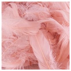 Dekorationsfjer - Rosa - 5-12 cm - 50 gram