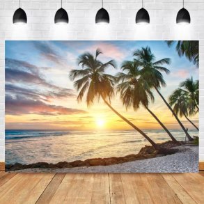 Foto baggrund - Strand - 2,40 x 1,80 meter