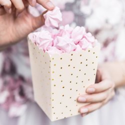 Popcorn boks - Cremefarvet med guldprikker - 6 stk.