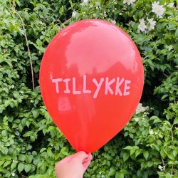 Balloner - TILLYKKE - Rd og hvid