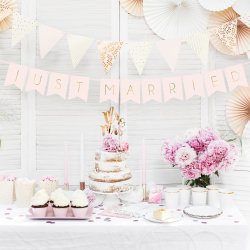 Banner - JUST MARRIED - Lyserd