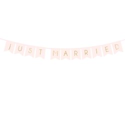 Banner - JUST MARRIED - Lyserd