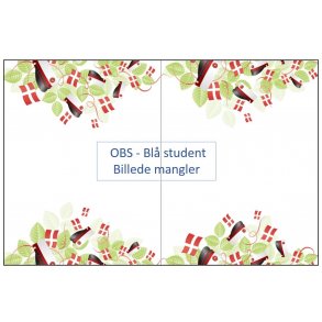 Bordlber - Bl Student