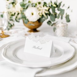 Bordkort med sommerfugle - 10 stk.