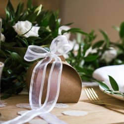 Chiffon bnd med kant - Hvid - 25 mm