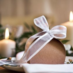 Chiffon bnd med kant - Hvid - 25 mm