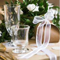 Chiffon bnd med kant - Hvid - 25 mm