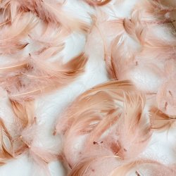 Dekorationsfjer - Rosa - 5-12 cm - 50 gram