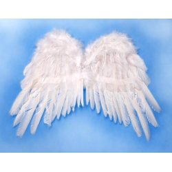 Englevinger - Hvid - 53 x 37 cm