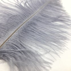 Strudsefjer - Gr, 13-17 cm - 5 stk. 