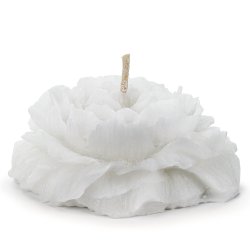 Flydelys - Hvid blomst - 8 cm, 4 stk.