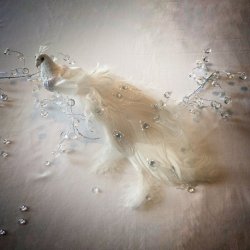 Gren med facet krystaller