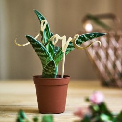 Cake topper - LOVE - Guld