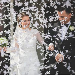 Konfettirr - Hvide sommerfugle