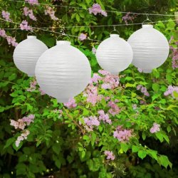 Lanterne med pre - Hvid - 20 cm