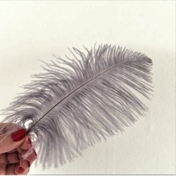 Strudsefjer - Gr, 13-17 cm - 5 stk. 