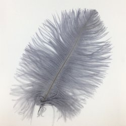 Strudsefjer - Gr, 13-17 cm - 5 stk. 